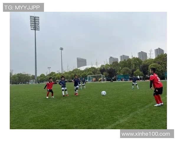 南京足球队实力强劲荣登全国足球实力排行榜第三名